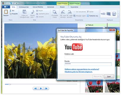 Web'de yayımlama